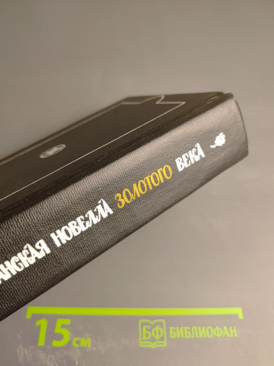 Испанская новелла Золотого века