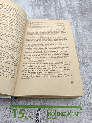 Виконт де Бражелон или Десять лет спустя