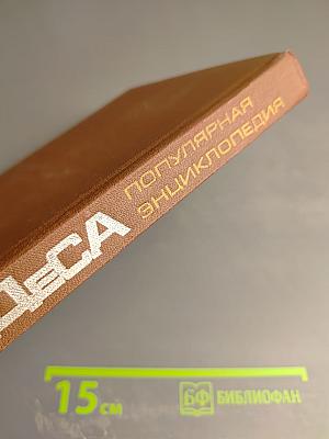 Чудеса. Популярная энциклопедия. Том 2