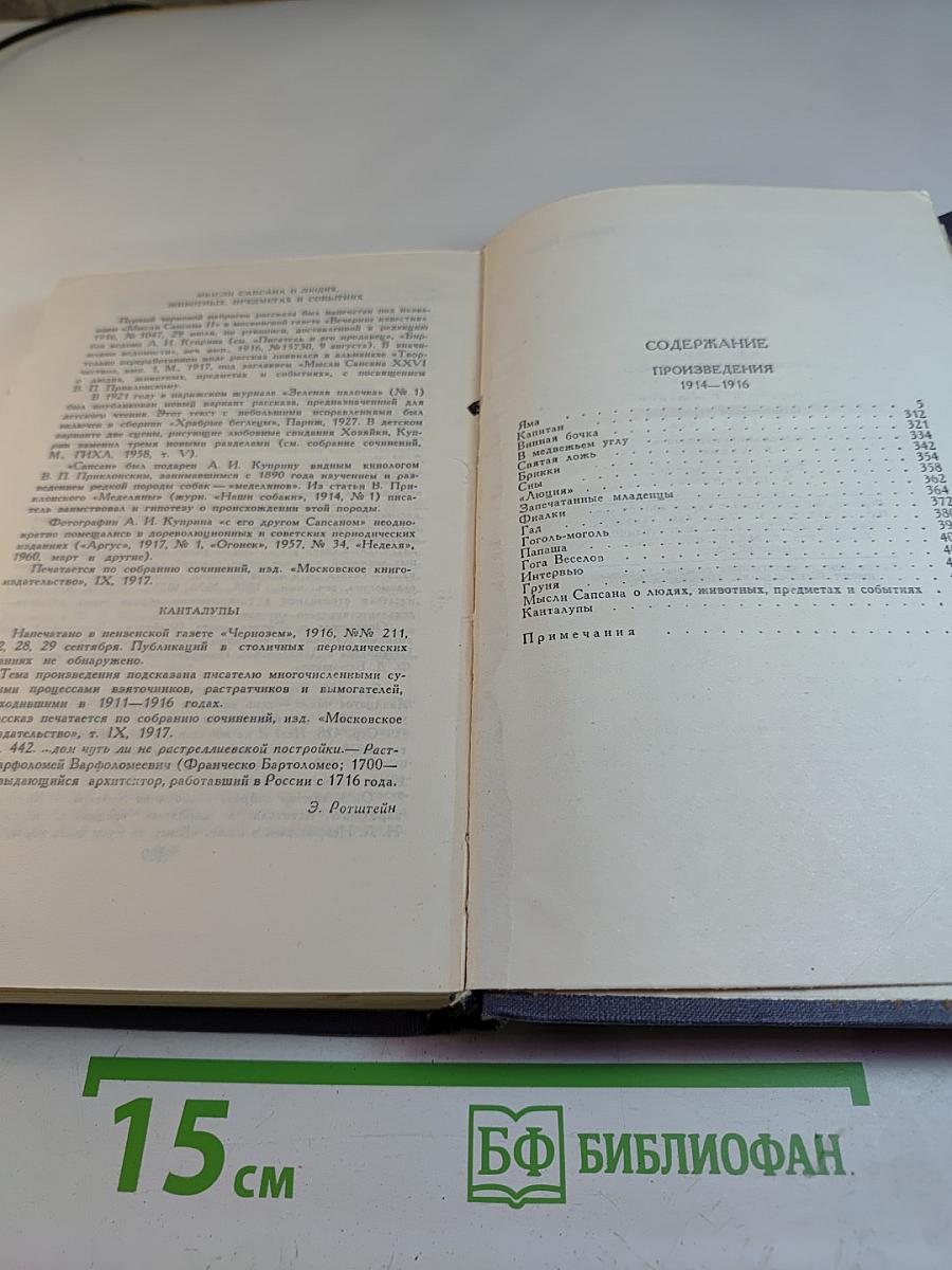 Собрание сочинений в девяти томах. Том 6