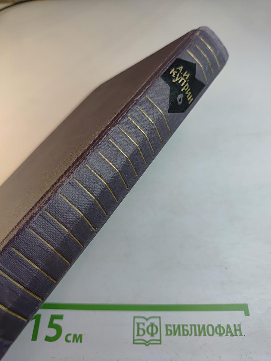 Собрание сочинений в девяти томах. Том 6