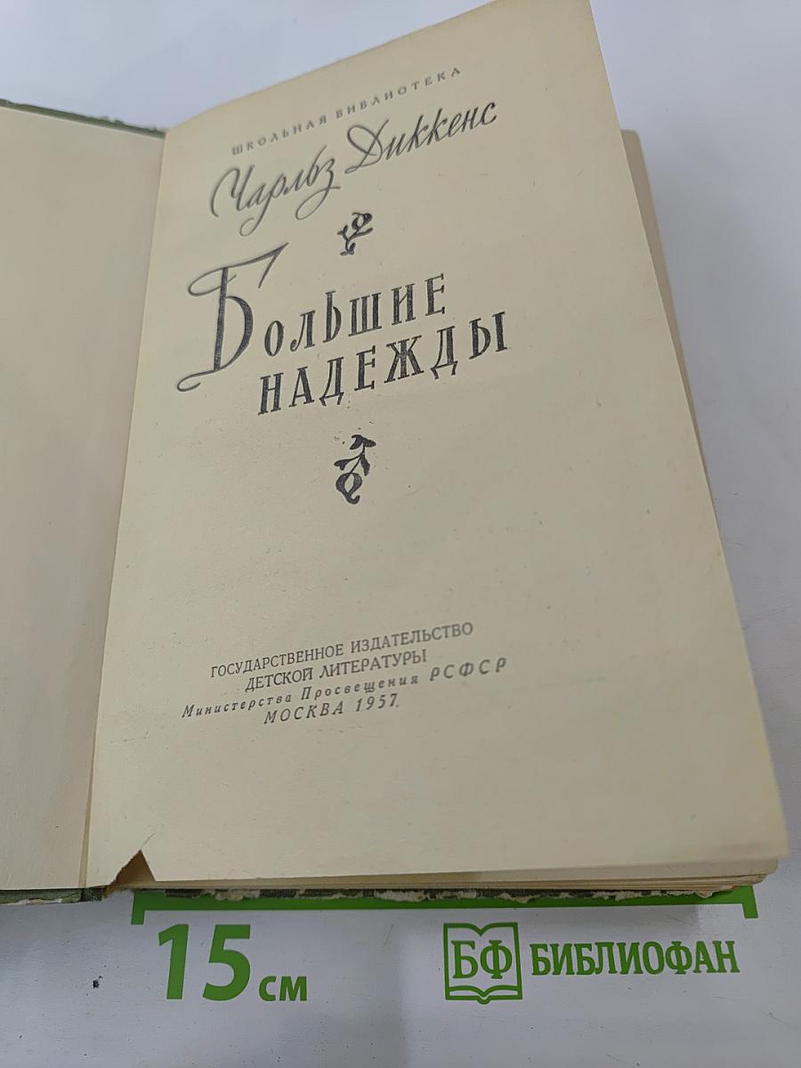Большие надежды