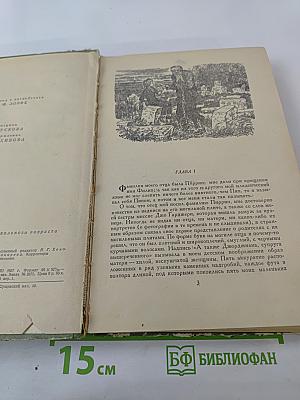 Большие надежды