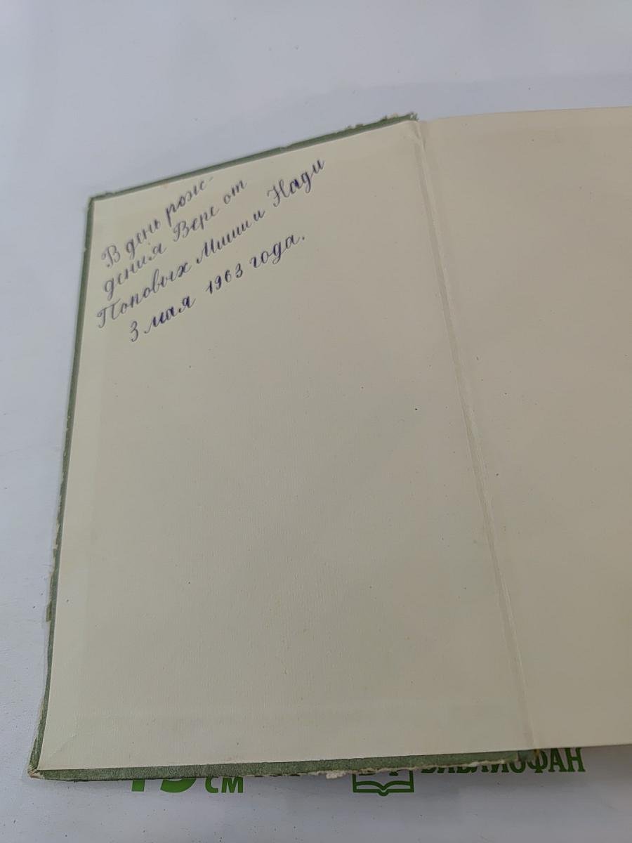 Большие надежды