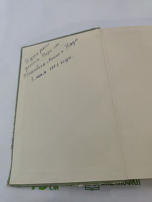 Большие надежды