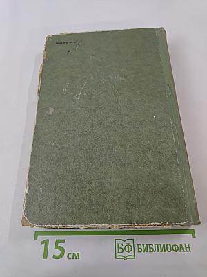 Большие надежды