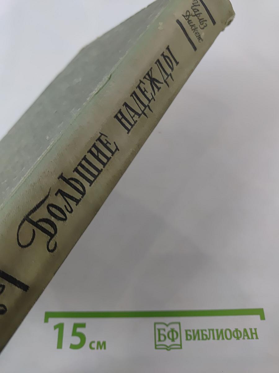Большие надежды