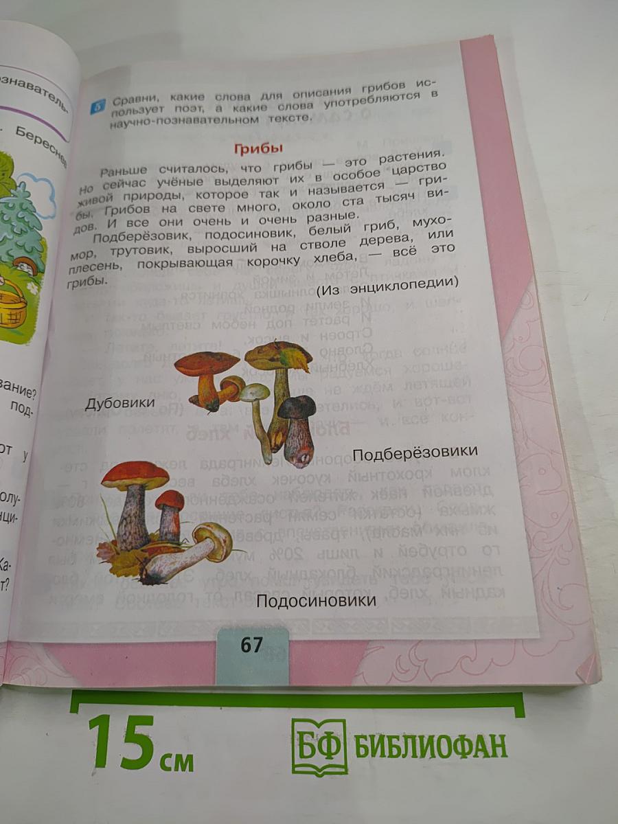 Литературное чтение. 2 класс. Часть 1