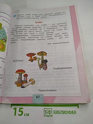 Литературное чтение. 2 класс. Часть 1