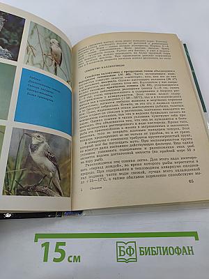 Советы друзьям природы