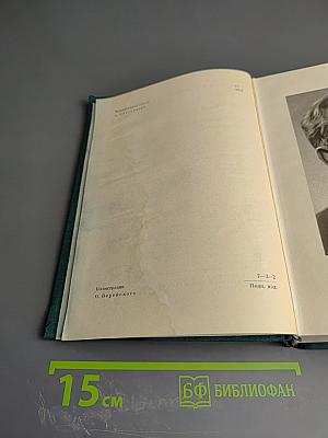 Тихий Дон. Роман в четырех книгах. Книги первая и вторая