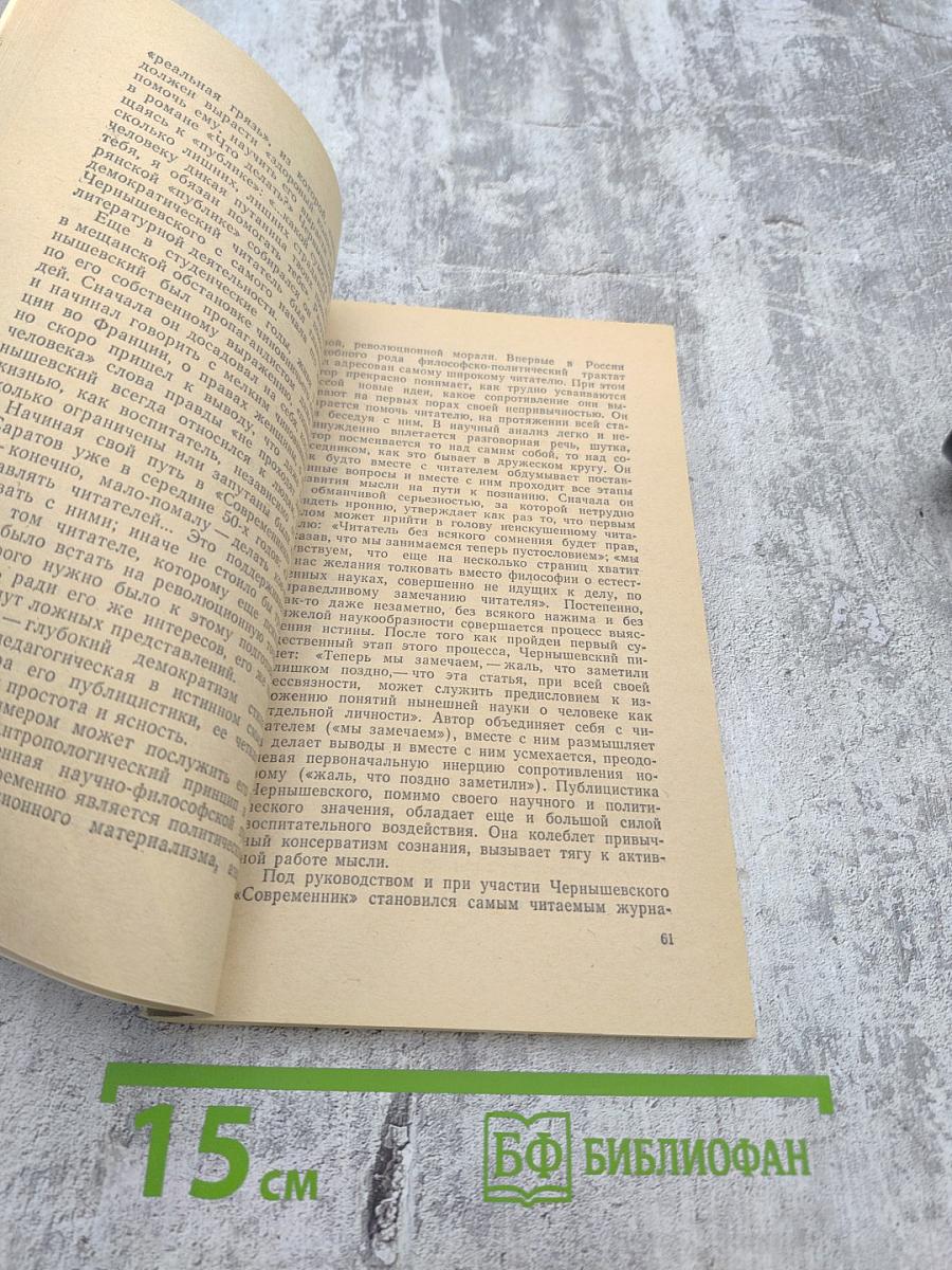 Николай Гаврилович Чернышевский: Биография писателя