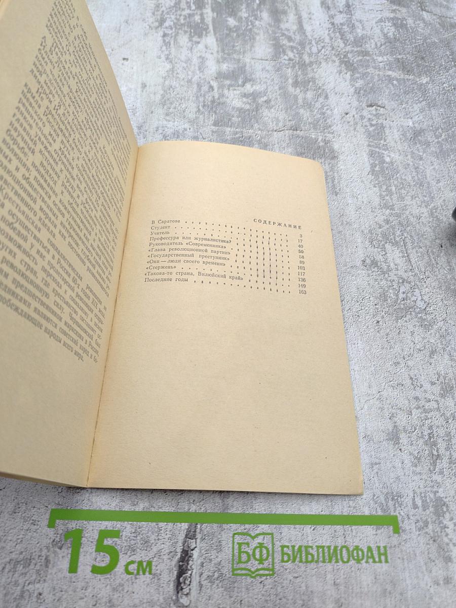 Николай Гаврилович Чернышевский: Биография писателя