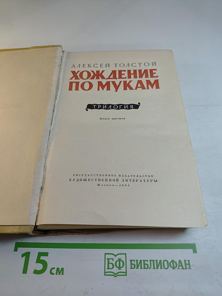 Хождение по мукам. Трилогия. Книга третья