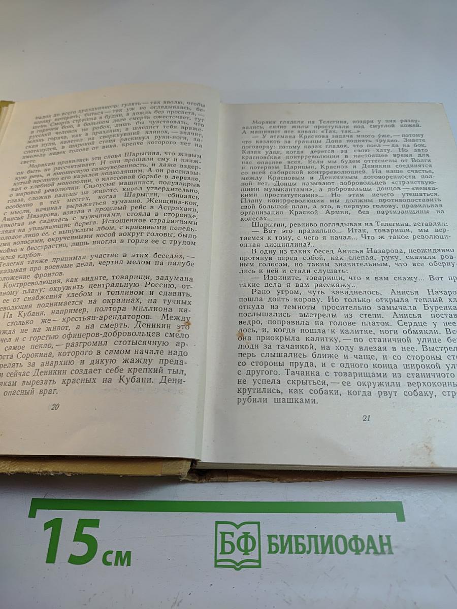 Хождение по мукам. Трилогия. Книга третья