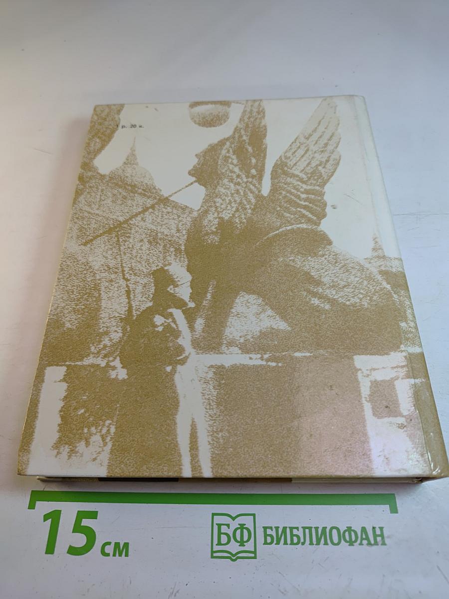 Чекисты Петрограда на страже революции. Книга 2