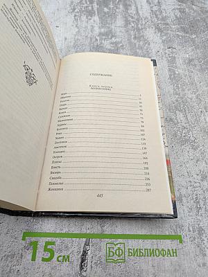 Роксолана. Книга 1. Вознесение