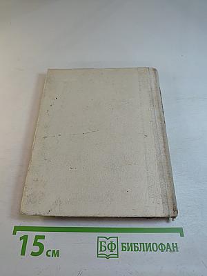 Достоевский в Петербурге