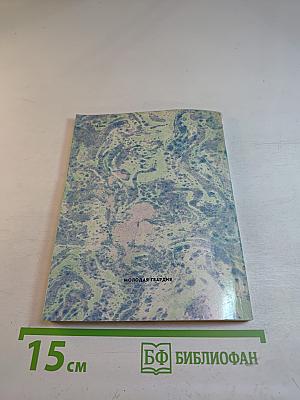 Река Тишина