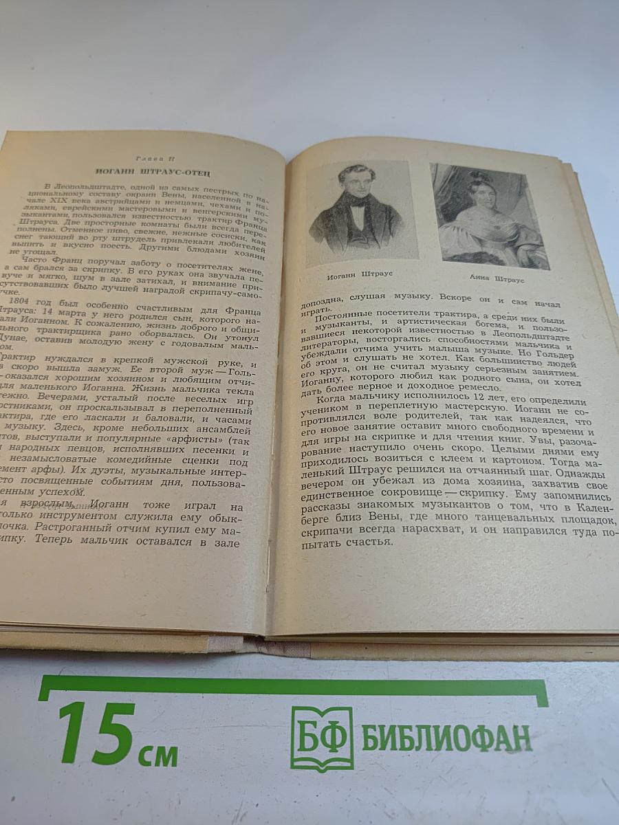 Иоганн Штраус. Из истории венского вальса