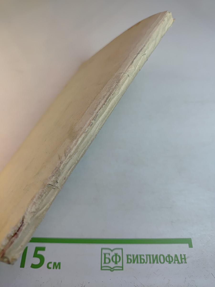 Первые шаги в жизни