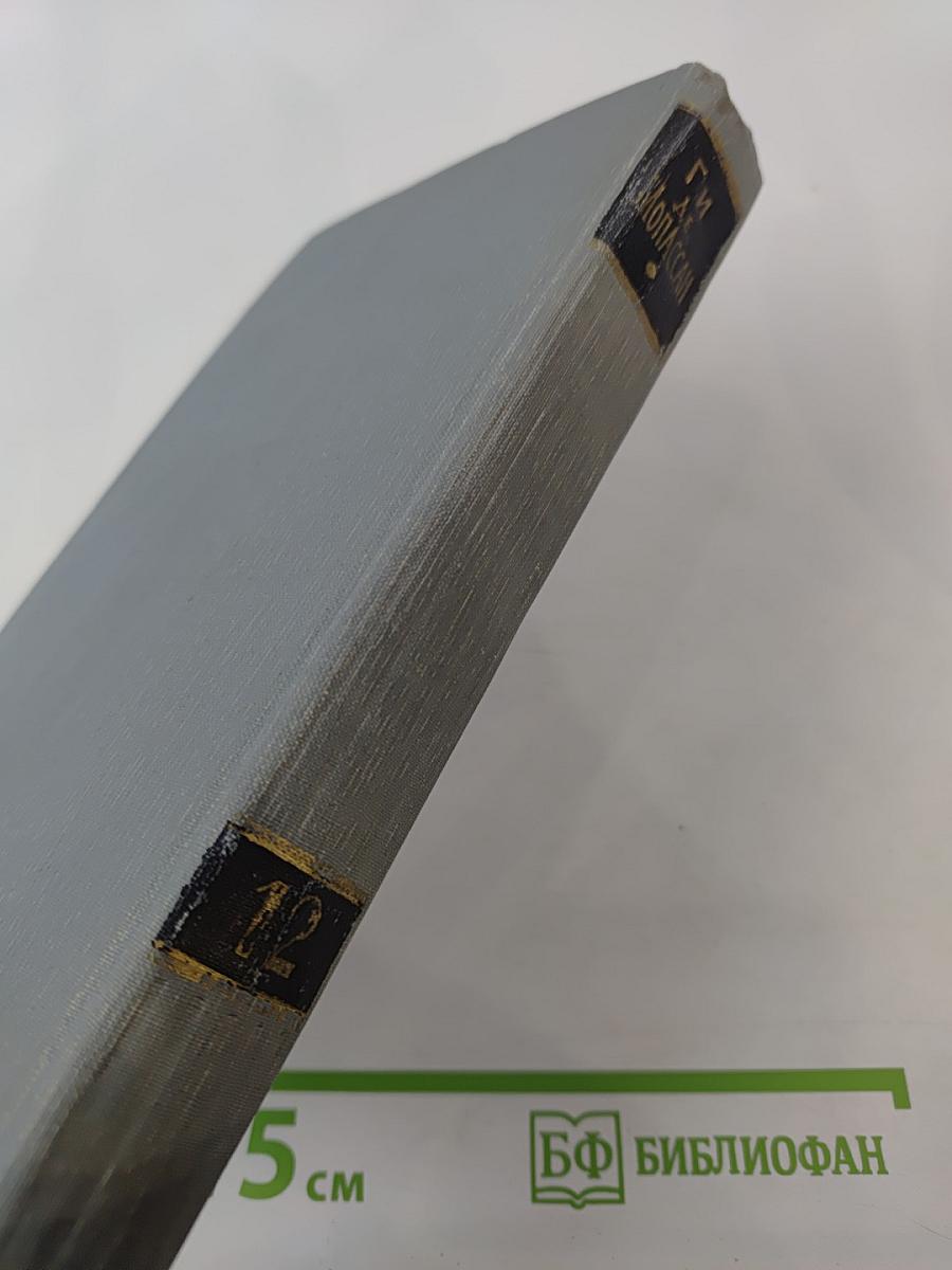 Полное собрание сочинений в двенадцати томах. Том 12