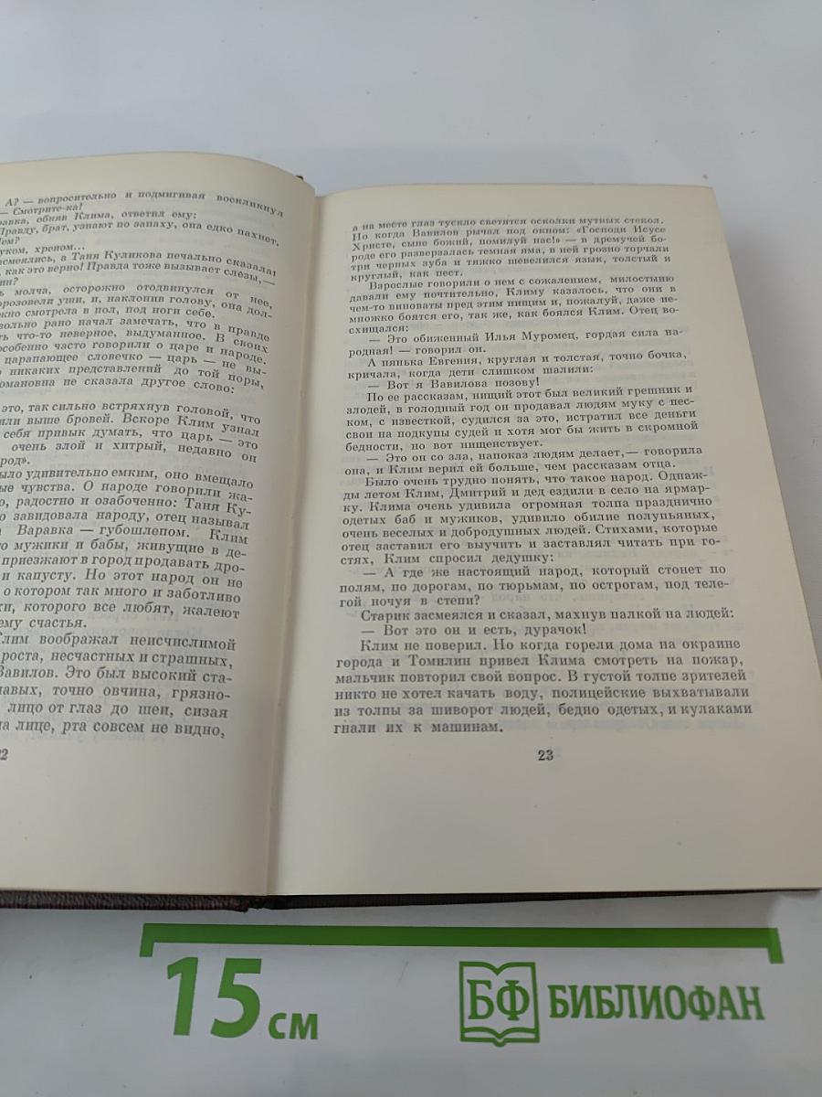Жизнь Клима Самгина. Том двадцать первый