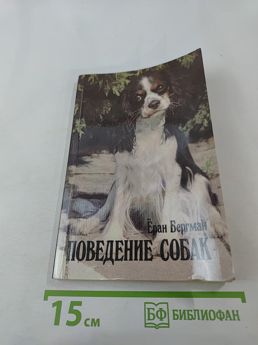 Поведение собак