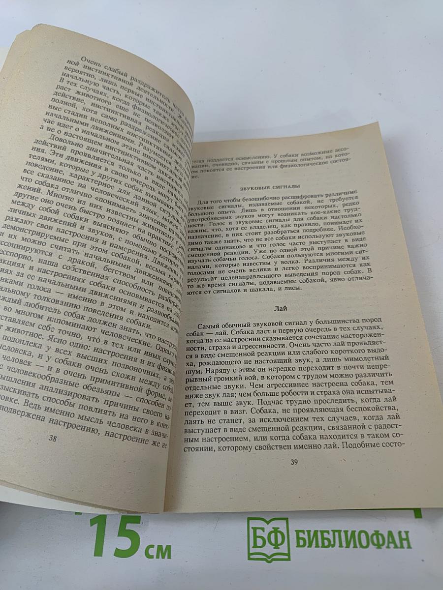 Поведение собак