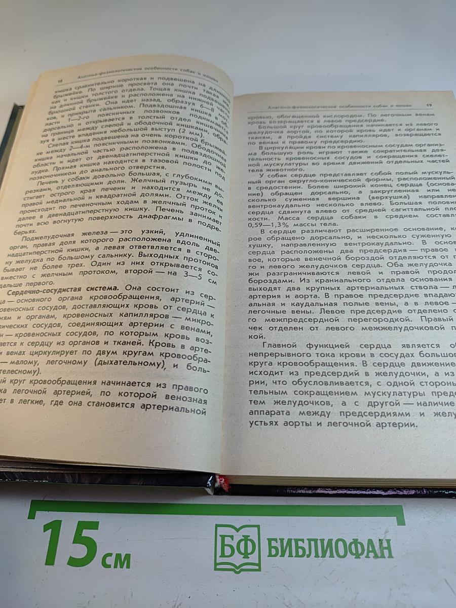 Ваши домашние четвероногие друзья