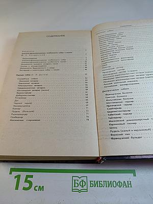 Ваши домашние четвероногие друзья