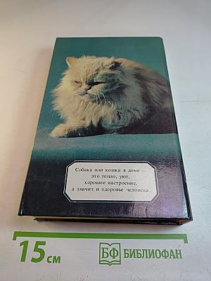 Ваши домашние четвероногие друзья