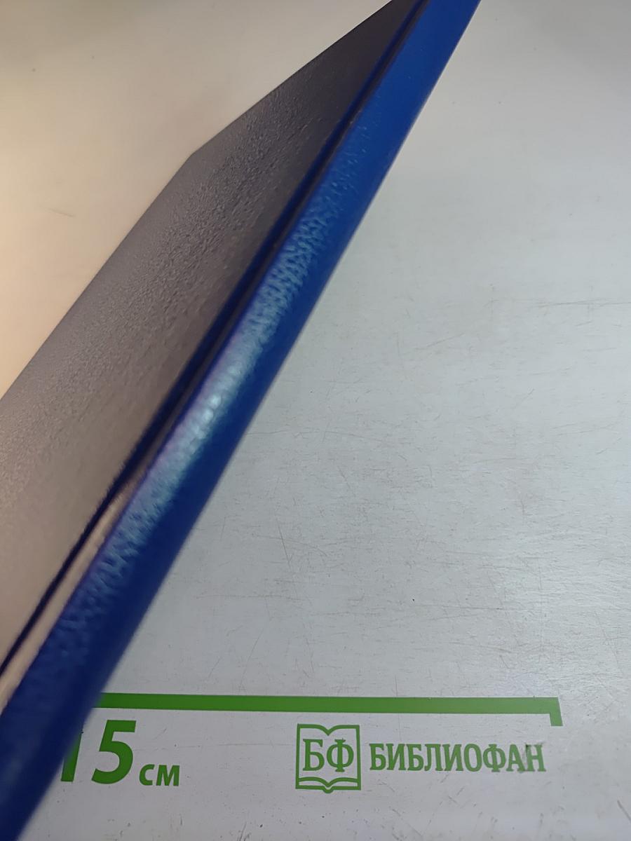 Моя Петроградская сторона (Спорт на Петроградской)