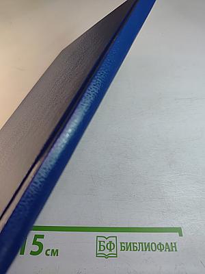 Моя Петроградская сторона (Спорт на Петроградской)