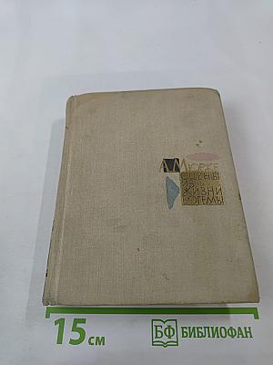 Сцены из жизни богемы