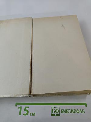 Беглые в Новороссии. Воля. Княжна Тараканова