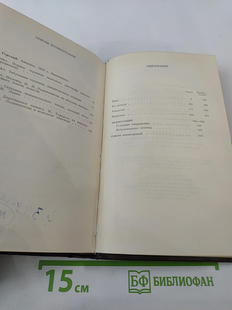 Собрание сочинений. Том 8. Мать. Рассказы. Очерк 1906-1910