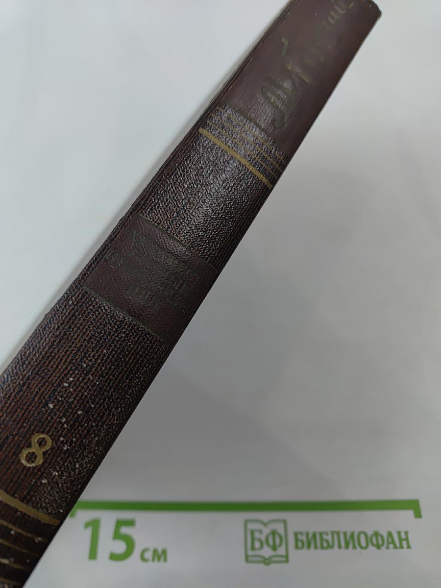 Собрание сочинений. Том 8. Мать. Рассказы. Очерк 1906-1910