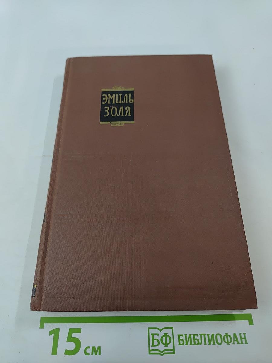 Эмиль Золя. Том 6. Западня