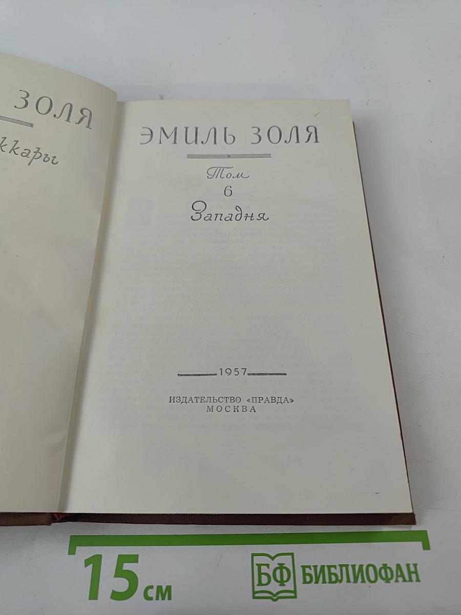Эмиль Золя. Том 6. Западня