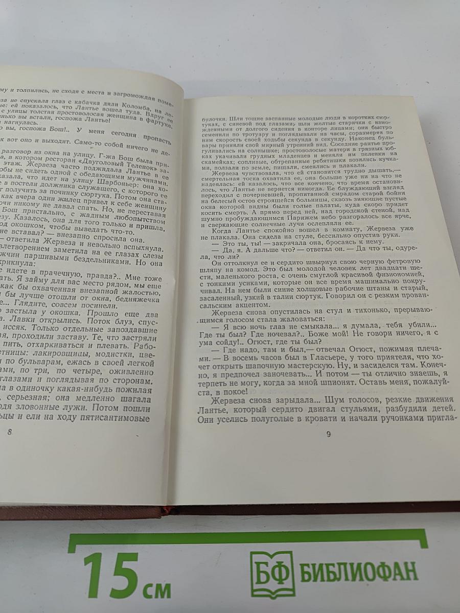 Эмиль Золя. Том 6. Западня
