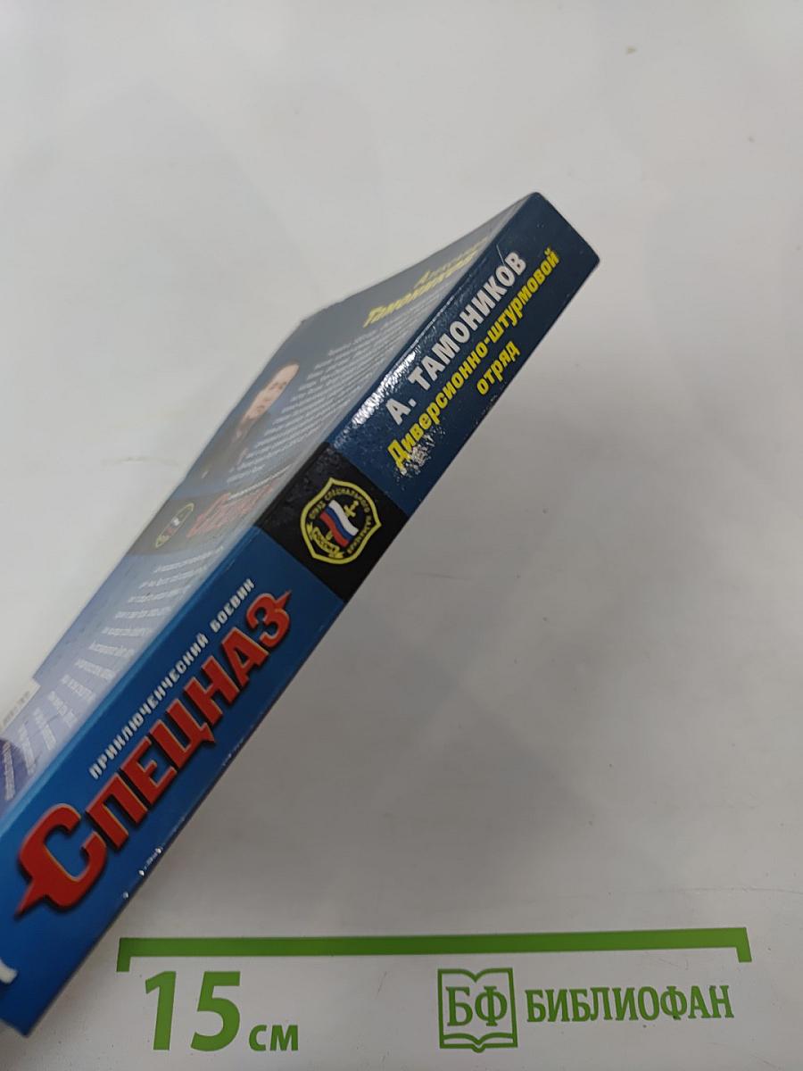 Диверсионно-штурмовой отряд