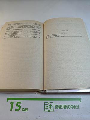 Блондинка из Пекина. Том 8 (дополнительный)