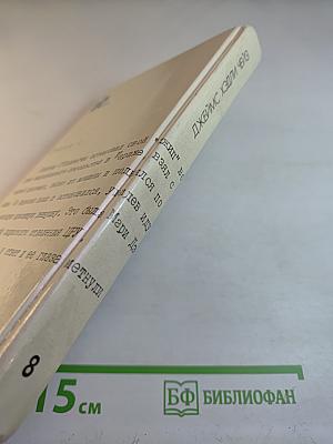 Блондинка из Пекина. Том 8 (дополнительный)