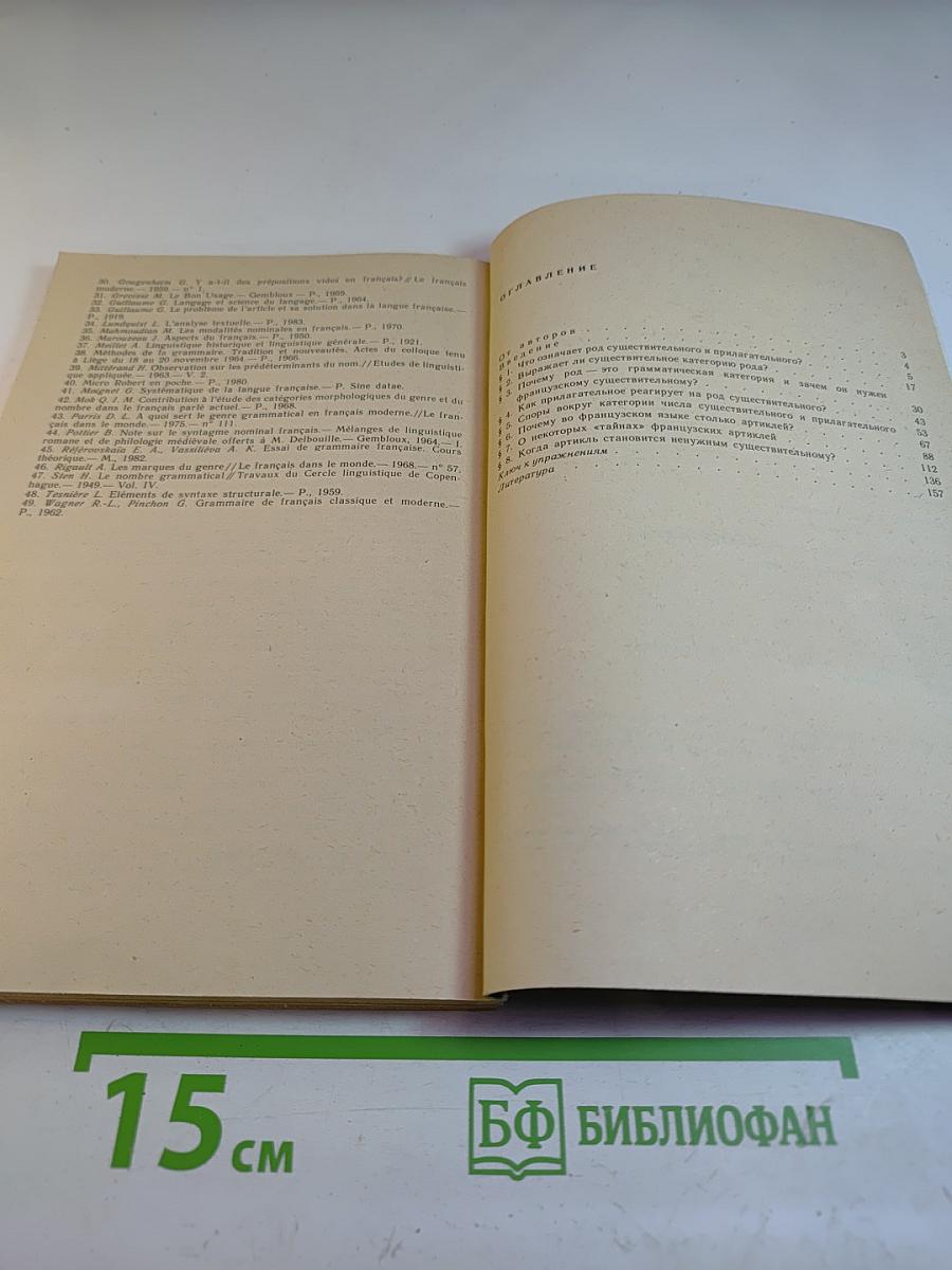 Именные части речи во французском языке. Трудности французской грамматики