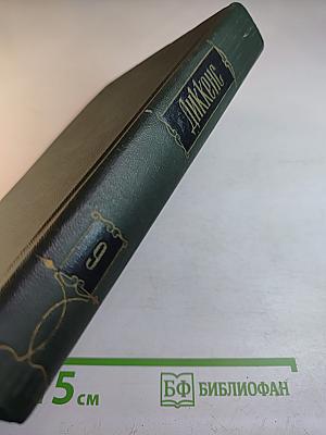 Собрание сочинений. Том девятый: Американские заметки. Картины Италии