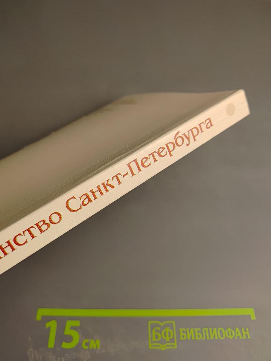 Пространство Санкт-Петербурга. Памятники культурного наследия и современная городская среда