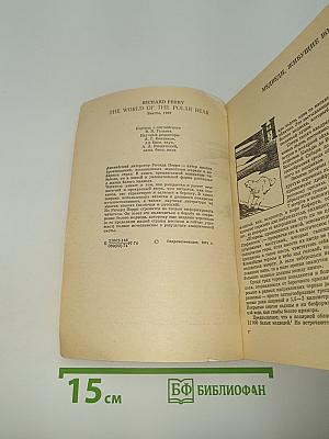 Мир белого медведя