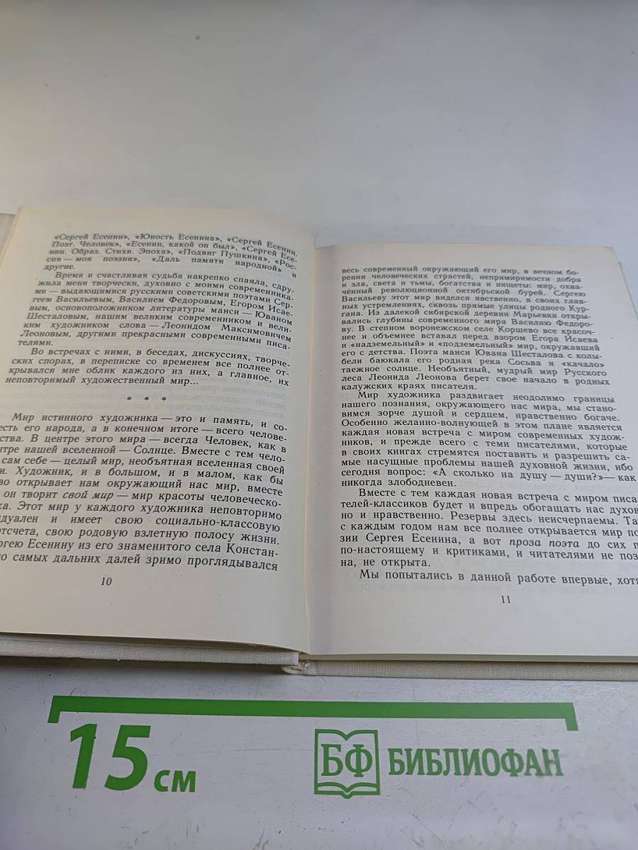 Мир художника