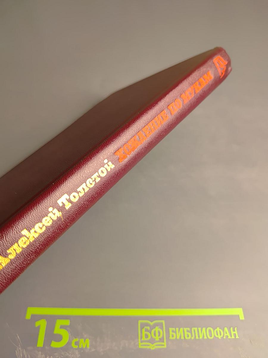 Хождение по мукам. Трилогия. Книга вторая. Восемнадцатый год